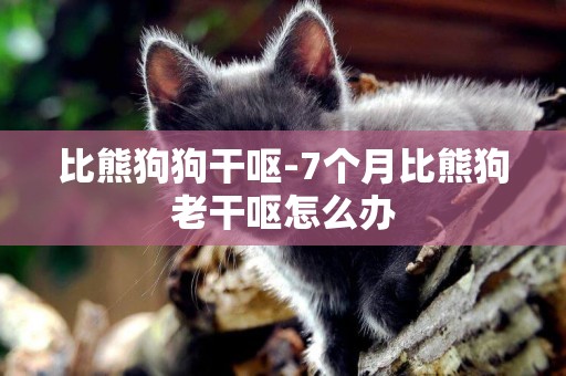 比熊狗狗干嘔-7個月比熊狗老干嘔怎么辦