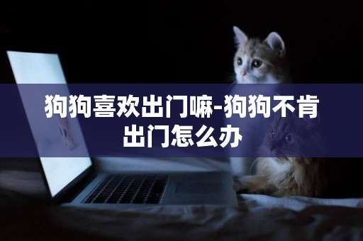 狗狗喜歡出門嘛-狗狗不肯出門怎么辦