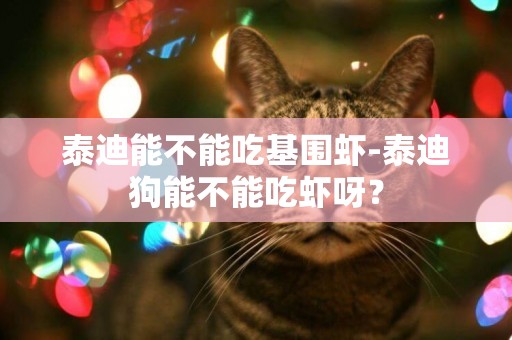 泰迪能不能吃基圍蝦-泰迪狗能不能吃蝦呀？
