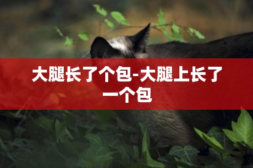 大腿長了個包-大腿上長了一個包