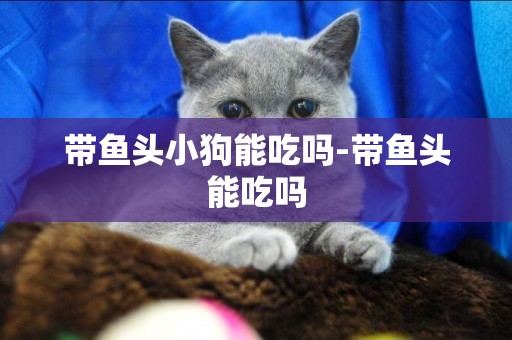 帶魚頭小狗能吃嗎-帶魚頭能吃嗎