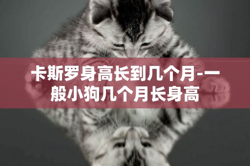 卡斯羅身高長到幾個月-一般小狗幾個月長身高