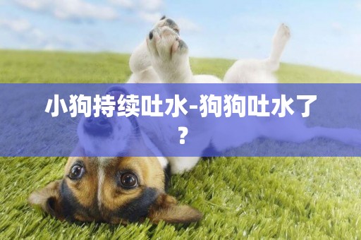 小狗持續吐水-狗狗吐水了？