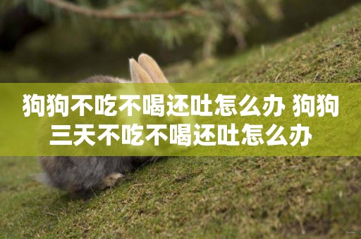 狗狗不吃不喝還吐怎么辦 狗狗三天不吃不喝還吐怎么辦