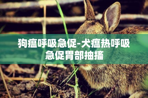 狗瘟呼吸急促-犬瘟熱呼吸急促胃部抽搐