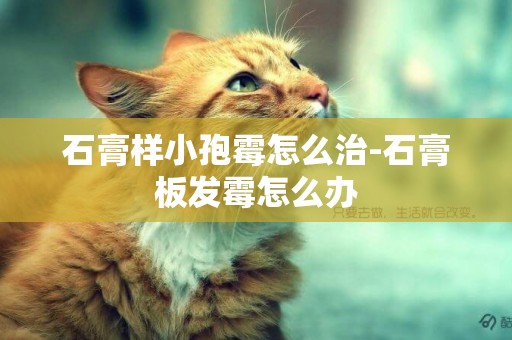 石膏樣小孢霉怎么治-石膏板發霉怎么辦