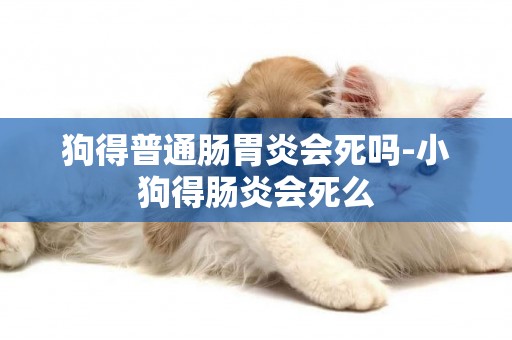 狗得普通腸胃炎會死嗎-小狗得腸炎會死么