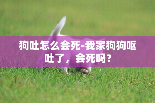 狗吐怎么會死-我家狗狗嘔吐了，會死嗎？