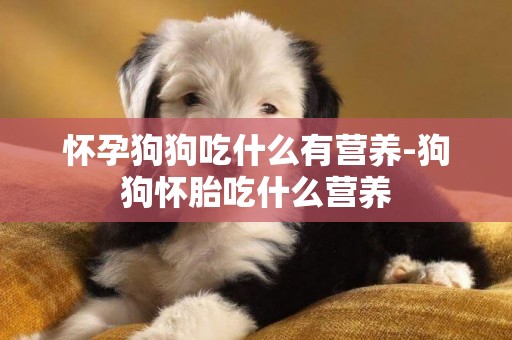 懷孕狗狗吃什么有營養-狗狗懷胎吃什么營養