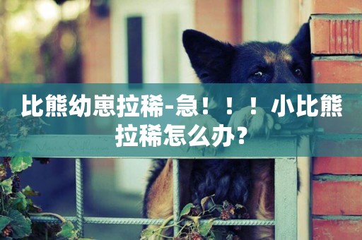 比熊幼崽拉稀-急！！！小比熊拉稀怎么辦？