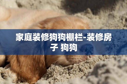 家庭裝修狗狗棚欄-裝修房子 狗狗