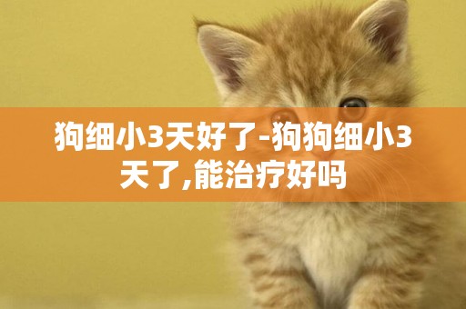 狗細小3天好了-狗狗細小3天了,能治療好嗎