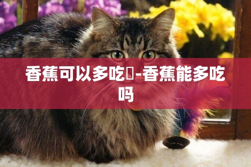 香蕉可以多吃嗎-香蕉能多吃嗎