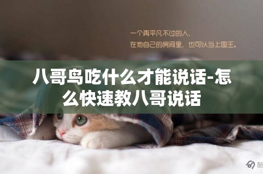 八哥鳥吃什么才能說話-怎么快速教八哥說話