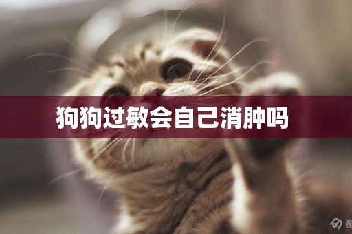 狗狗過敏會自己消腫嗎 
