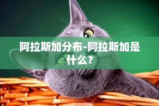 阿拉斯加分布-阿拉斯加是什么？