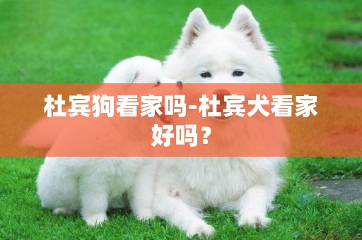 杜賓狗看家嗎-杜賓犬看家好嗎？