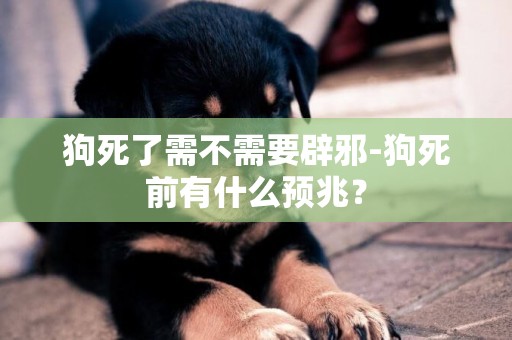 狗死了需不需要辟邪-狗死前有什么預兆？