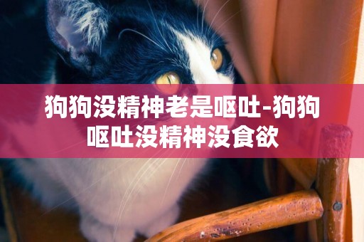 狗狗沒精神老是嘔吐-狗狗嘔吐沒精神沒食欲