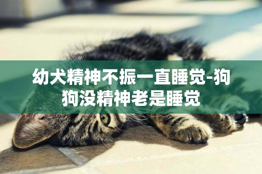 幼犬精神不振一直睡覺-狗狗沒精神老是睡覺