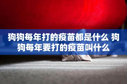 狗狗每年打的疫苗都是什么 狗狗每年要打的疫苗叫什么
