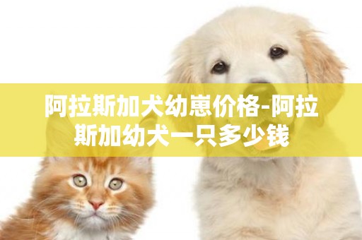 阿拉斯加犬幼崽價格-阿拉斯加幼犬一只多少錢
