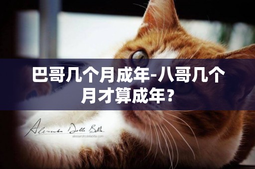 巴哥幾個月成年-八哥幾個月才算成年？