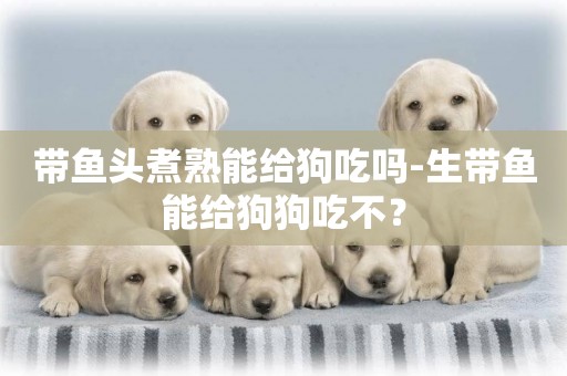 帶魚頭煮熟能給狗吃嗎-生帶魚能給狗狗吃不？
