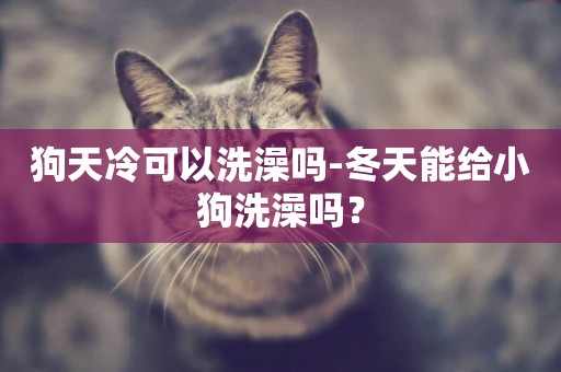 狗天冷可以洗澡嗎-冬天能給小狗洗澡嗎？
