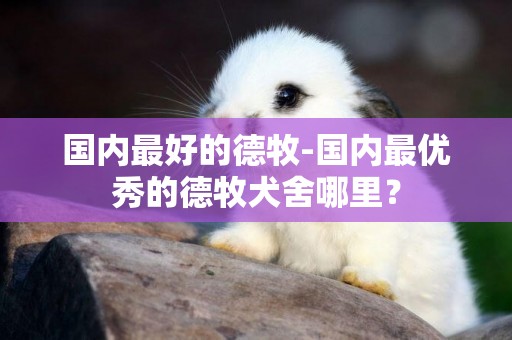 國內最好的德牧-國內最優秀的德牧犬舍哪里？