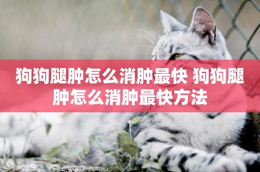 狗狗腿腫怎么消腫最快 狗狗腿腫怎么消腫最快方法