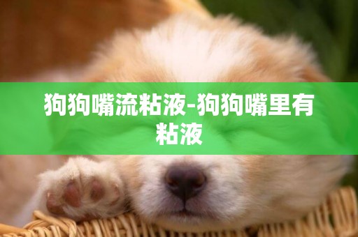 狗狗嘴流粘液-狗狗嘴里有粘液