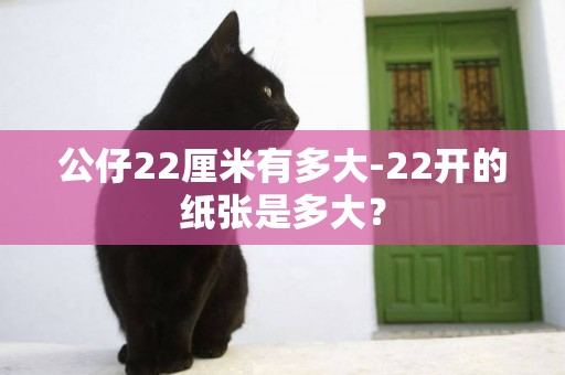 公仔22厘米有多大-22開的紙張是多大？