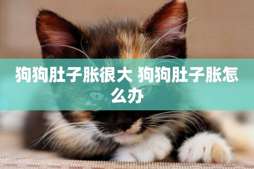 狗狗肚子脹很大 狗狗肚子脹怎么辦