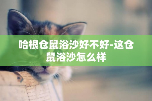 哈根倉鼠浴沙好不好-這倉鼠浴沙怎么樣
