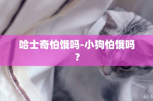 哈士奇怕餓嗎-小狗怕餓嗎？