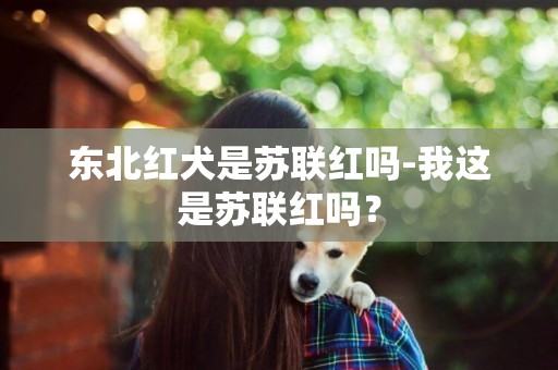 東北紅犬是蘇聯紅嗎-我這是蘇聯紅嗎？