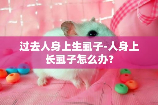 過去人身上生虱子-人身上長虱子怎么辦？