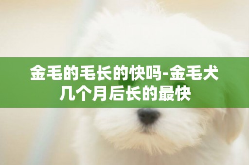 金毛的毛長的快嗎-金毛犬幾個月后長的最快