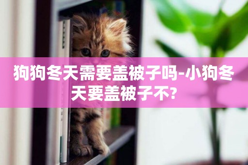 狗狗冬天需要蓋被子嗎-小狗冬天要蓋被子不?