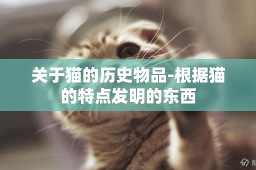 關于貓的歷史物品-根據貓的特點發明的東西