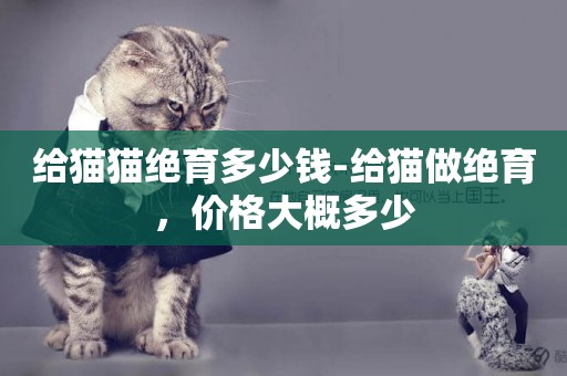 給貓貓絕育多少錢-給貓做絕育，價格大概多少