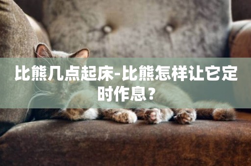 比熊幾點起床-比熊怎樣讓它定時作息？