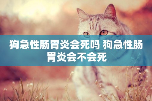 狗急性腸胃炎會死嗎 狗急性腸胃炎會不會死