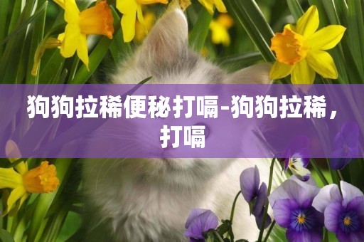 狗狗拉稀便秘打嗝-狗狗拉稀，打嗝