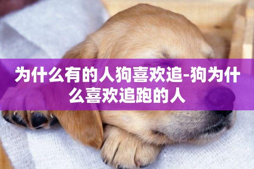 為什么有的人狗喜歡追-狗為什么喜歡追跑的人