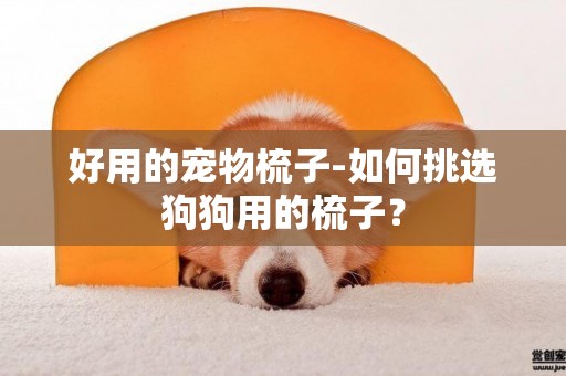 好用的寵物梳子-如何挑選狗狗用的梳子？