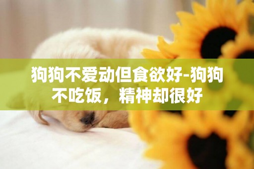 狗狗不愛動但食欲好-狗狗不吃飯，精神卻很好