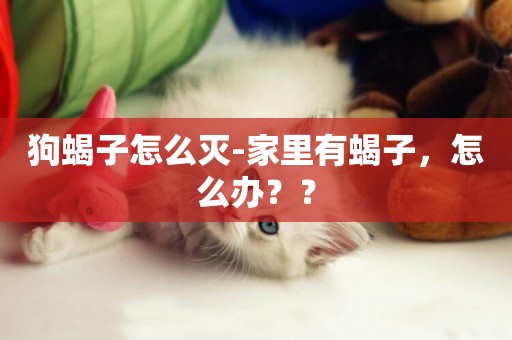 狗蝎子怎么滅-家里有蝎子，怎么辦？？