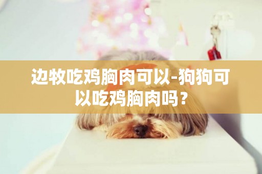 邊牧吃雞胸肉可以-狗狗可以吃雞胸肉嗎？